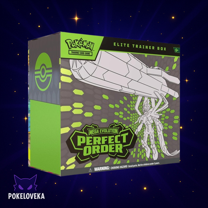 Perfect Order Elite Trainer Box 