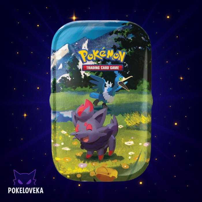 Ascended Heroes Mini Tin [Zorua & Cramorant]