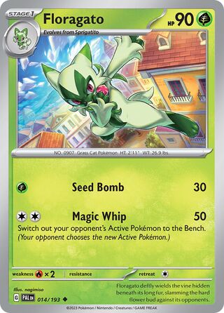 Floragato (Paldea Evolved 014/193)
