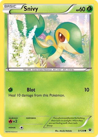 Snivy (Fates Collide 5/124)